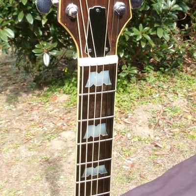 Morris MG-60 1977 Natural - Made in Japan - Solid Spruce Top image 5