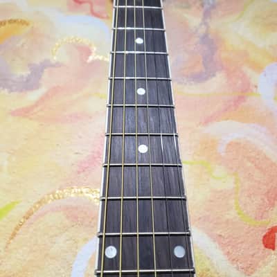 Zager Easy Play 5001PK BK Dreadnought Acoustic Guitar (Used) image 6