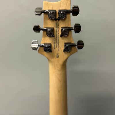 PRS SE Swamp Ash CE 24 Sandblasted 2024 - Sandblasted Green image 5