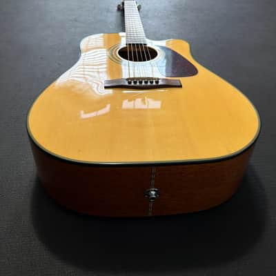 Fender DG-20CE NAT image 1