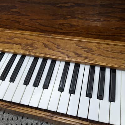 One-of-a-kind vintage Oberheim ONE VOICE analog synth controller by Kevin Lightner! SEM NOT INCLUDED. image 3