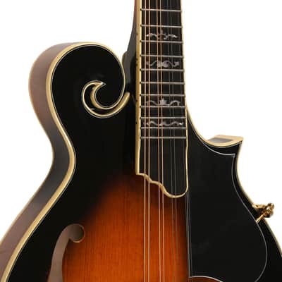 Gold Tone Mastertone™ GM-70+: F-Style Mandolin with Case image 4