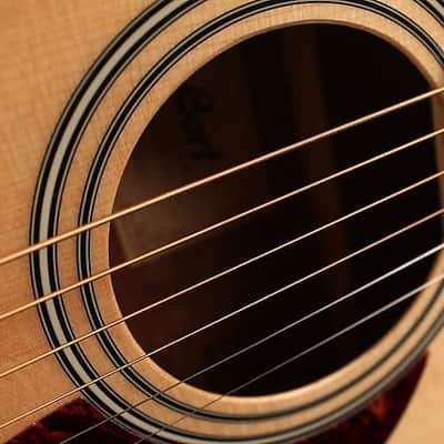 Cort Standard AD810-OP Drednought Spruce Top Mah B&S Open Pore image 4