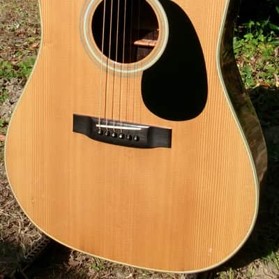 1975 Yairi D35 YW550 Natural + Case image 2