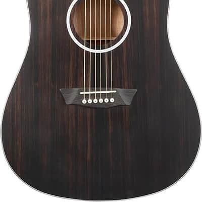 Washburn 6 String Acoustic Guitar, Right, Striped Ebony (DFED) image 6