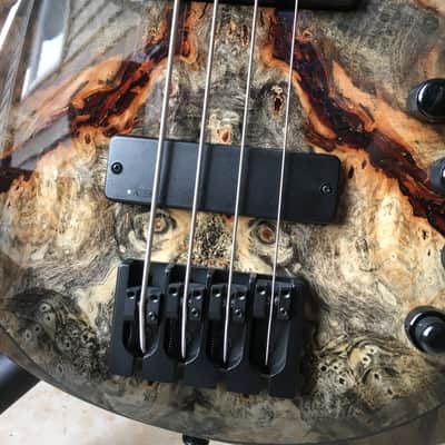 Kiesel V49K Vanquish 4 string 2017 Buckeye Burl 2017 NAMM Build image 6