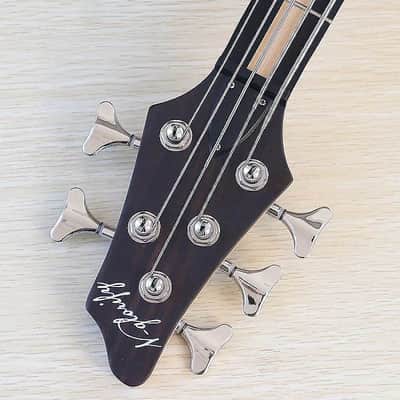 Custom 5 String Electric Bass, Hickory Wood Top Body, Maple Neck Through, 24 Frets image 7