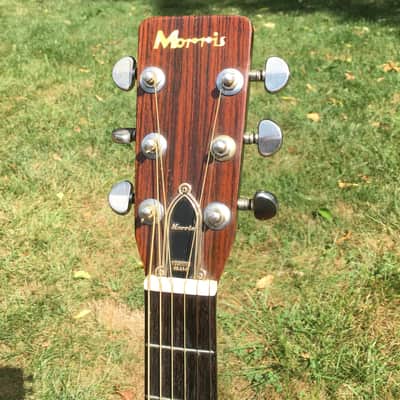 Vintage Penco Morris A14 Acoustic Guitar image 5