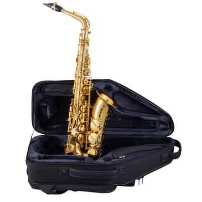 Selmer Paris 82 Signature Series Professional Alto Saxophone Lacquer image 5