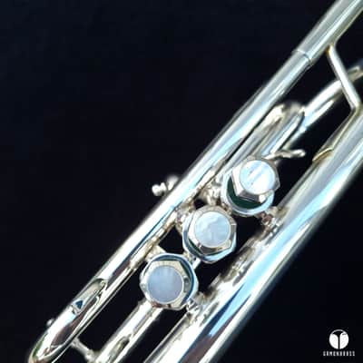 Custom Schilke Chicago A1 cornet mouthpiece case gamonbrass image 14