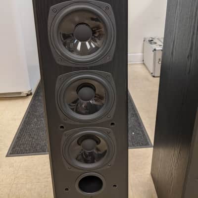 Sound Dynamics RTS-P100 Floor Standing Speakers (Black) image 12