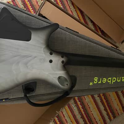 Strandberg Guitars Strandberg Limited-edition Salen APS Monochrom Electric Guitar - Monochrom 2024 image 3