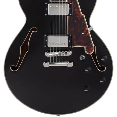 D'Angelico DAPSSBLF2NS Premier SS- Black Flake image 1