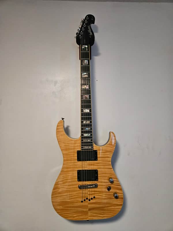 Washburn X50 PROFE 2005 - Natural image 1