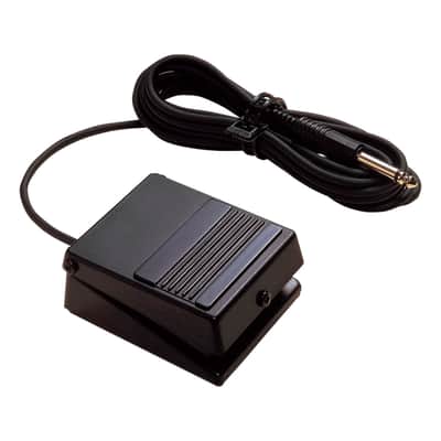 DP-2 Roland image 1