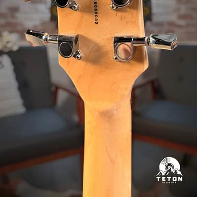 Teton F1433FM 'F' Series Hollow Body Guitar 2010s - Present | Flamed Maple Natural image 7