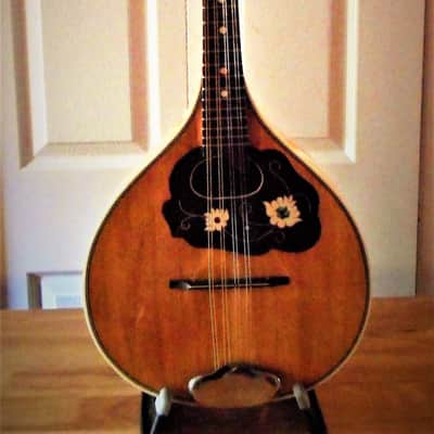 "Vintage" Perl-Gold German Mandolin  natural "Newly Restored" image 9