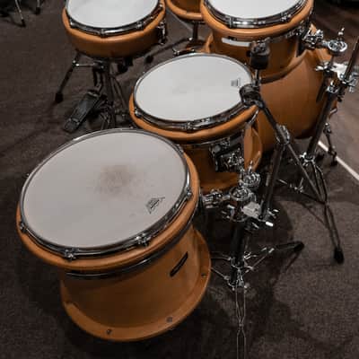 Peavey Radial Pro 1000 Kit with Hardware, 10, 12, 14, 16, 22, 14sn, Clear Maple, Made in USA image 12