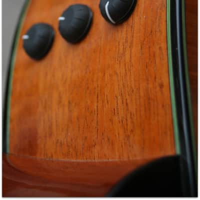 Taylor TAYLOR "Custom GS 12 Build to order LIMITED EDITION" (SECOND HAND) image 17