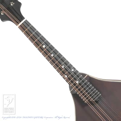 Eastman MD-305 image 5