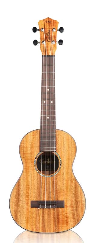 Cordoba 35T Tenor Ukulele - Solid Acacia Tenor Ukulele image 1