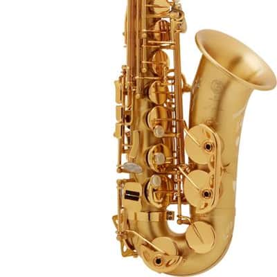 Selmer Paris 82 Signature Series Professional Alto Saxophone - Brushed Lacquer image 1