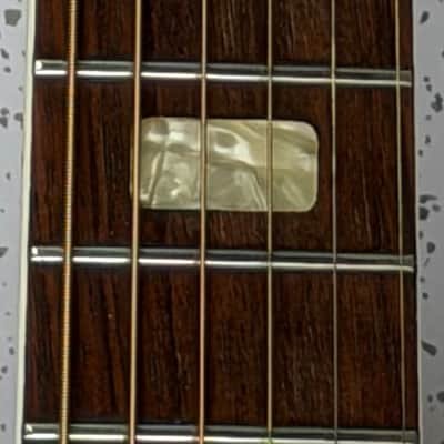 Epiphone FT-570BL Sheraton 1973 - 1979 - Natural image 3