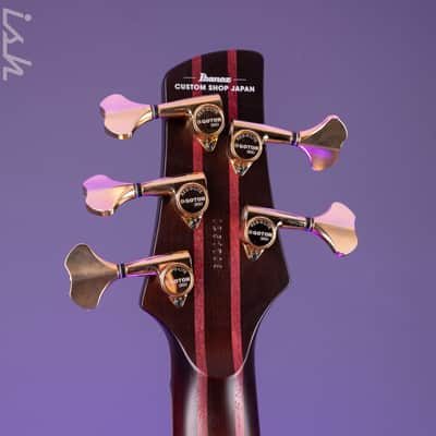 Ibanez Custom Shop Visions SR 5-String Bass Natural Bastogne Walnut image 13