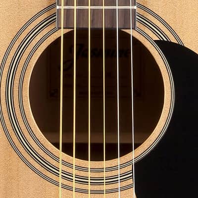 Jasmine S35 Dreadnought Spruce Top Agathis Back & Sides Nato Neck 6-String Acoustic Guitar image 4
