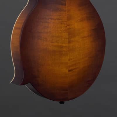 Northfield F2S Oval Hole w/ Red Spruce Top & Wide Nut (#S2601511) image 11