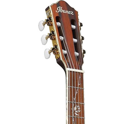 Ibanez TOD10NTKF Tim Henson Signature Nylon Acoustic-Electric Guitar - Transparent Black Flat image 8