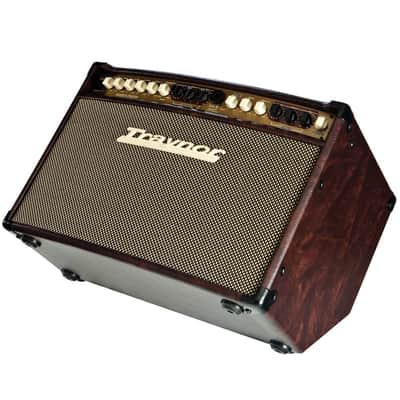 TRAYNOR AM STANDARD Acoustic Masters Series Guitar / Vocal Combo Amplifier image 2