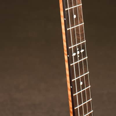 Banjo Nechville Tenor 19 frets 2021 image 3