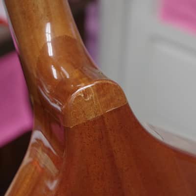 GOLD TONE Mandola 8-string viola style tuning MANDOLIN w/ BAG - Solid Top - B stock image 5