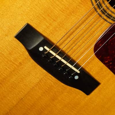 2008 Gallagher G-70M 12-Fret Madagascar Rosewood Dreadnought Guitar (VIDEO! Ready to Go) image 7