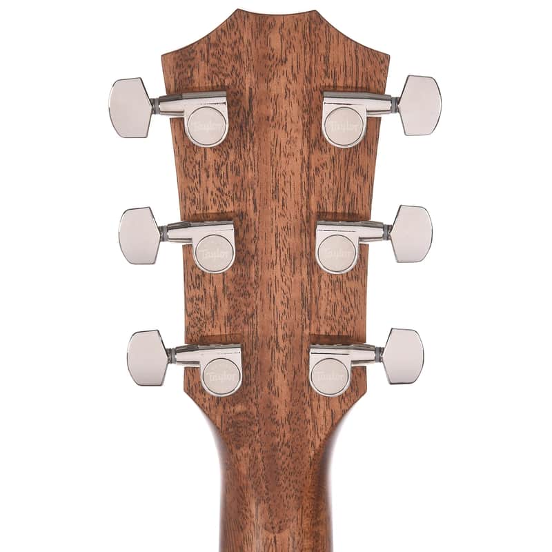 Taylor Builder's Edition 717e with V-Class Bracing image 7