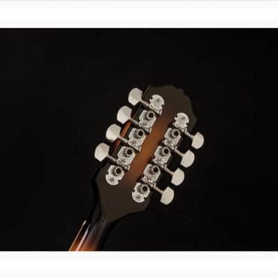 Washburn M1S-A | A-Style Mandolin with Solid Spruce Top. New with Full Warranty! image 6