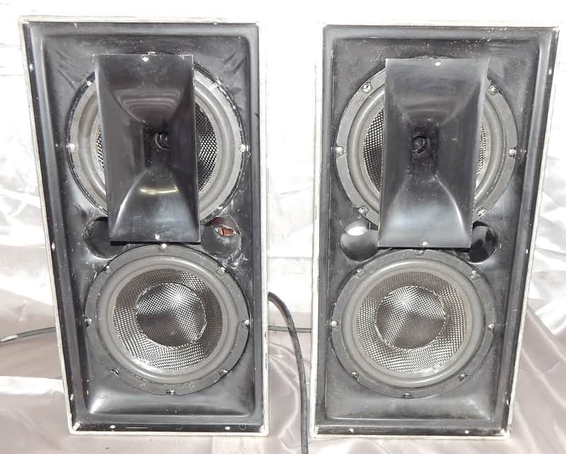 Eminence coax dual driver custom outdoor speakers 8" coax dual woofer design, ported image 1