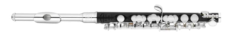 Haynes AP46-M Student Plastic Piccolo, Metal Headjoint image 1