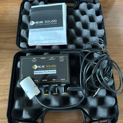 K&K Sound Meridian Microphone 2020s image 2