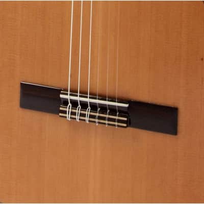 Raimundo 118 Classical Guitar image 2