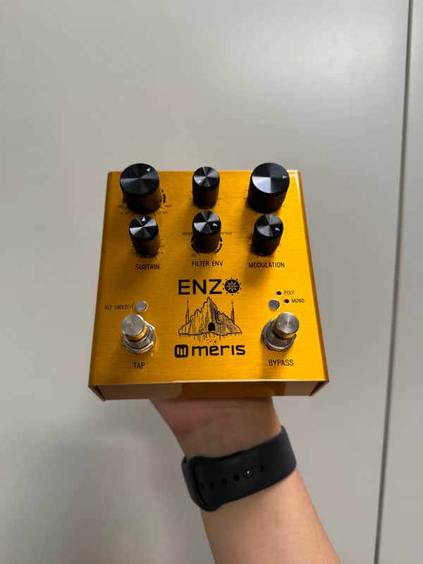 Meris Enzo 2018 - Gold image 1