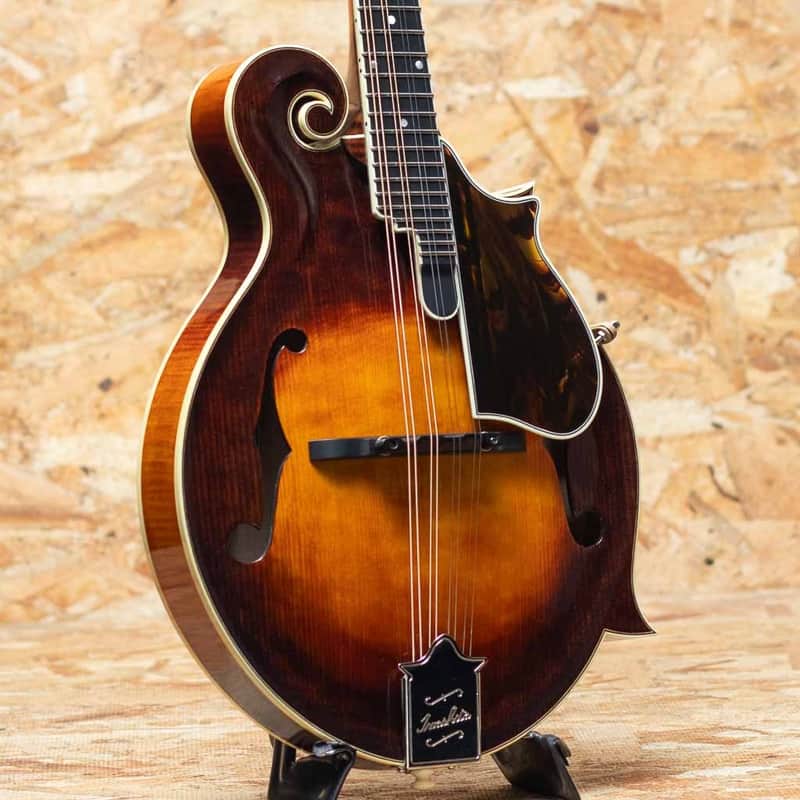Iwashita Mandolins&Guitars F 5 2024 image 1