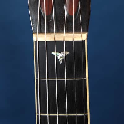 Washburn Model 330 1905-1917 / Grand Concert Size / Breathtaking! / July Special!!! image 3