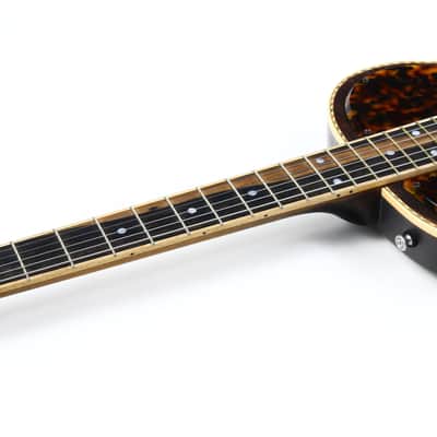 2023 Mule Resophonic Mavis Custom Order w Original Case, Paperwork Resonator Electric Guitar image 13
