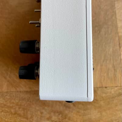 Red Panda Raster 2 2021 - White image 3