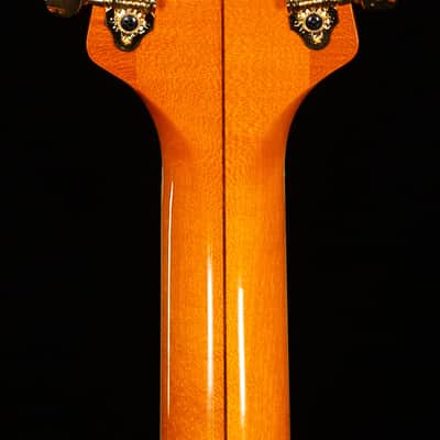 Gretsch Professional G6120T-55 Vintage Select Edition '55 Chet Atkins Hollow Body with Bigsby Vintage Orange Stain (285) image 7