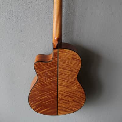 Brand New Cordoba Fusion 14 Maple Nylon String Acoustic/Electric Classical Guitar image 8