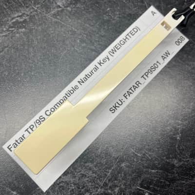 Fatar Replacement Weighted A Key (TP/9S Keybeds) for Pro-2, Prophet-08, Prophet-12, Mopho Keyboard, Mopho SE, Mopho X4, E-Mu XK-6/MK-6/PK6, Ensoniq Halo