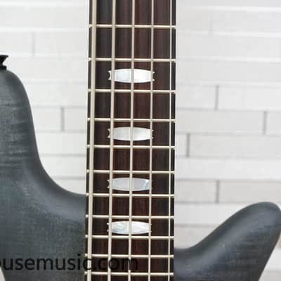 Immagine Spector Euro 5 LX - Trans Black Stain Matte - 3